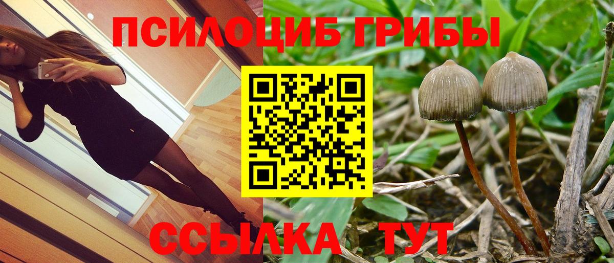 Псилоцибиновые грибы GOLDEN TEACHER Белово