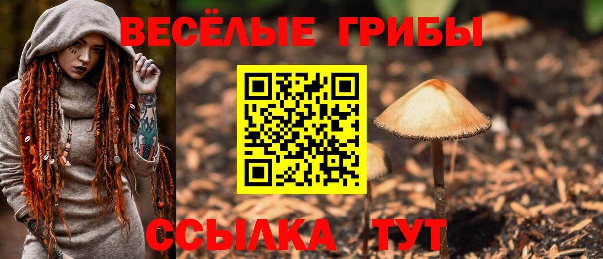 Белово  Галлюциногенные грибы прущие грибы  Вход с VPN 
